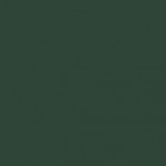 RAL 6005 - Vert mousse