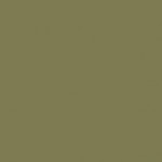 RAL 7002 - Gris olive