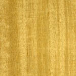 Essence -Movingui