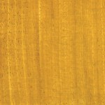 Essence - Movingui