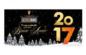 bonne-annee-2017